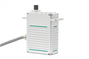 24V 325kg.cm  Steel Gear Brushless Motor 180 Degree Servo